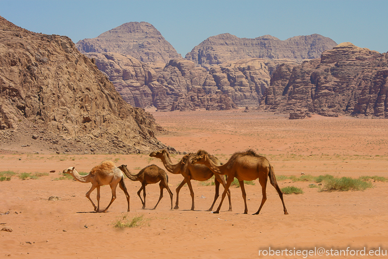 wadi rum